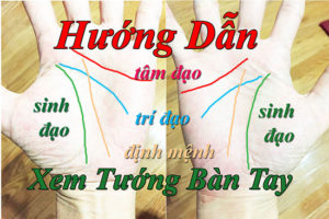 Xem tuong ban tay