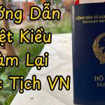 Hướng Dẫn Việt Kiều Tại Mỹ, Úc, Canada Làm Lại Quốc Tịch Việt Nam: Thủ Tục, Chi Phí và Lợi Ích