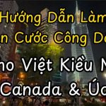 Hướng Dẫn Chi Tiết Cho Việt Kiều Mỹ, Úc, Canada Làm Căn Cước Công Dân (CCCD) Tại Việt Nam