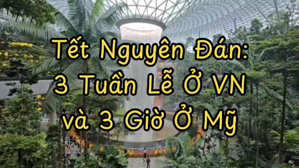 Tết Nguyên Đán: Sự Khác Biệt Giữa Người Việt Trong Nước và Hải Ngoại