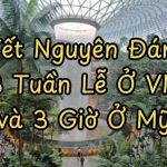 Tết Nguyên Đán: 3 Tuần Lễ Ở Việt Nam Và 3 Giờ Đồng Hồ Ở Mỹ