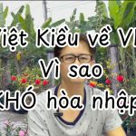 Vì Sao Việt Kiều Dễ Thích Nghi Ở Mỹ Nhưng Khó Hòa Nhập Khi Về Việt Nam?