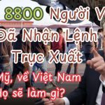 8.800 Người Gốc Việt Bị Trục Xuất Khỏi Mỹ: Lý Do Và Tương Lai Nào Khi Trở Về Việt Nam?