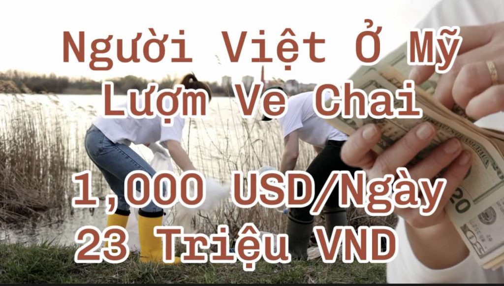 Người Việt tại Mỹ Lượm Ve Chai Kiếm 1.000 USD/Ngày (25 Triệu VND)