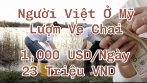 Người Việt tại Mỹ Lượm Ve Chai Kiếm 1.000 USD/Ngày (25 Triệu VND)