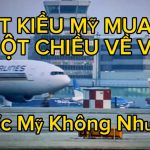 Việt Kiều Mỹ Mua Vé Một Chiều Về Việt Nam – Giấc Mơ Mỹ Không Như Mong Đợi!