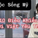 10 Điều Khiến Người Việt Yêu Thích Cuộc Sống Ở Mỹ – Góc Nhìn Chân Thật Từ Việt Kiều