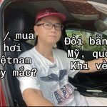 Việt Kiều Nên Mua Hay Thuê Xe Hơi Ở Việt Nam? Hướng Dẫn Đổi Bằng Lái Xe Mỹ Sang Bằng Việt Nam