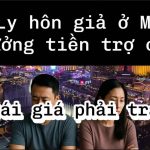 Ly Hôn Giả Ở Mỹ: Cái Giá Đắt Của Những Cặp Vợ Chồng Việt Gian Lận Trợ Cấp