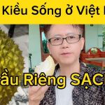Việt Kiều Ăn Sầu Riêng Sạch Ở Minh Tân, Dầu Tiếng, Bình Dương: Ngon Quá Trời!