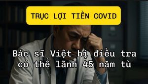 Vợ Chồng Bác Sĩ Người Việt Bị Bắt Ở Mỹ Vì Gian Lận Tiền COVID