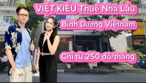 Việt Kiều Thuê Nhà Lầu, Căn Hộ Cao Cấp Ở Bình Dương: Giá Từ 100 Đến 600 USD/Tháng
