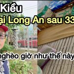Người Mỹ Gốc Việt Trở Lại Long An Sau 33 Năm: Quê Nghèo Giờ Ra Sao?