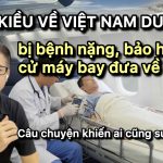 Việt Kiều về Việt Nam du lịch bị bệnh nặng: Nhờ bảo hiểm du lịch quốc tế, được máy bay chở về Mỹ cứu chữa