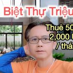 BIỆT THỰ TRIỆU ĐÔ THE ORCHARD SYCAMORE – VIỆT KIỀU MỸ CHOÁNG VỚI GIÁ THUÊ 40–50 TRIỆU/THÁNG TẠI THỦ DẦU MỘT