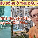 Việt Kiều Sống Ở Thủ Dầu Một – Bình Dương: Cuộc Sống Hiện Đại, Chi Phí Dễ Chịu