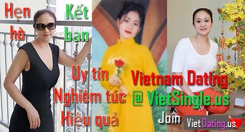 Vietnamese dating logo