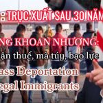 The Deportation of 8,800 Vietnamese Immigrants from the U.S.: Causes, Impact, and Future Outlook