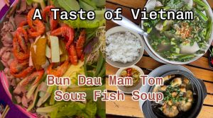 Vietnamese Expat Reviews Bun Dau Mam Tom in Di An & Sour Fish Soup in Dau Tieng